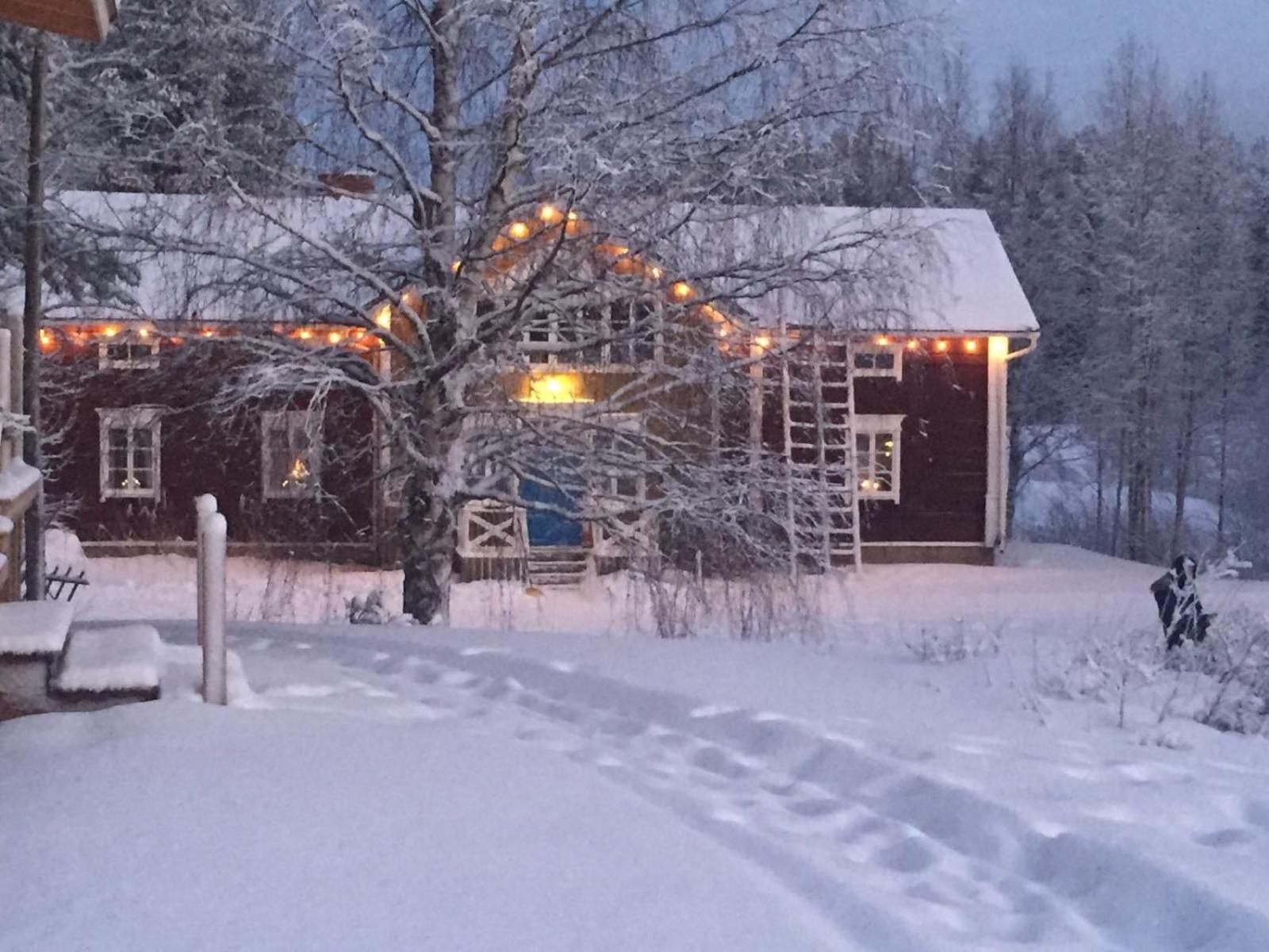 Korvala Log Cabins Ngoại thất bức ảnh